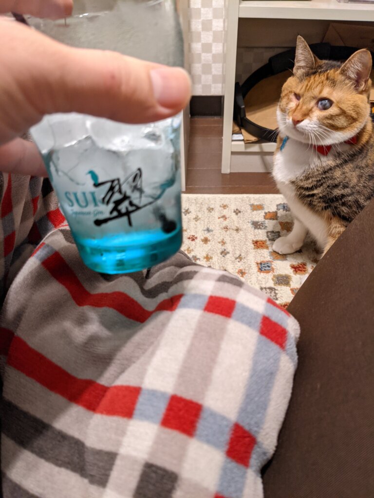 翠グラスと猫のまつりちゃん