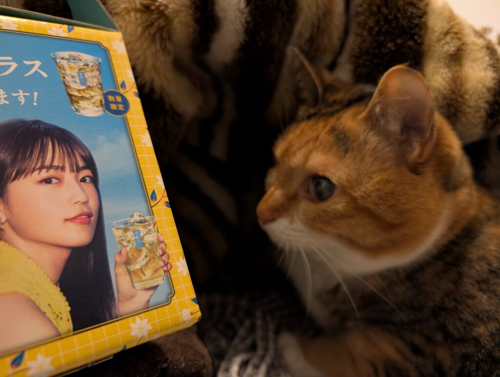 まつり&まつりか