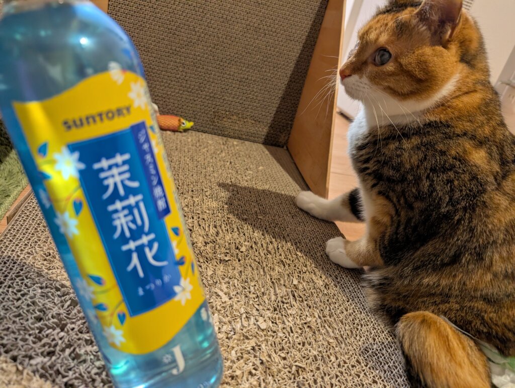 まつり&まつりか